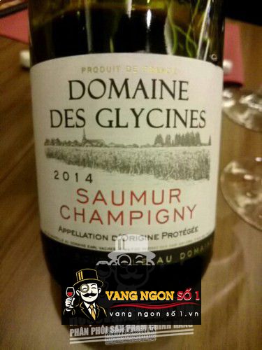 Rượu vang Saumur Champigny Domaine Des Glycines
