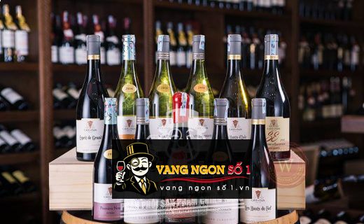 Vang Pháp Epsilon Hermitage thượng hạng vùng Rhône