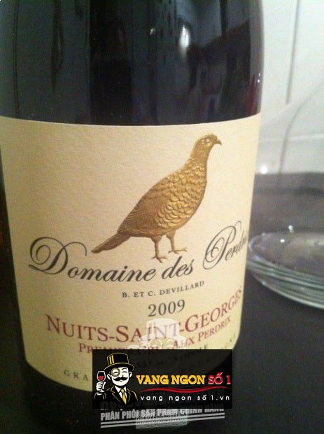 Vang Pháp Domaine Des Perdrix Nuits Saint Georges