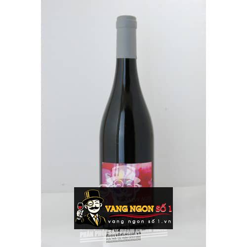 Vang Pháp Salver Ager Terre du Salut Mont de Marie