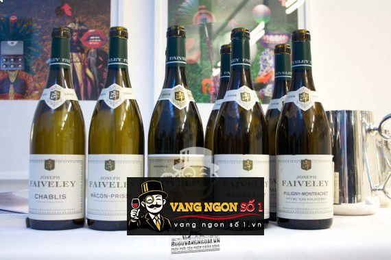 Vang Pháp Domaine Faiveley Mercurey