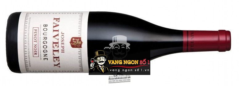 Rượu vang Pháp Faiveley Bourgogne