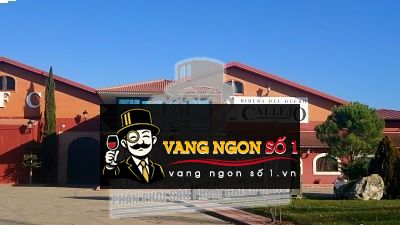 Kết quả hình ảnh cho BODEGAS FELIX CALLEJO 2005