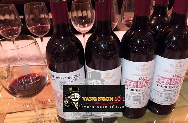 Kết quả hình ảnh cho vega sicilia valbuena 5 2010