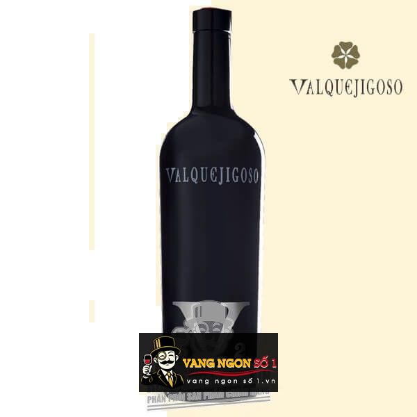 Kết quả hình ảnh cho v2 valpuejigoso