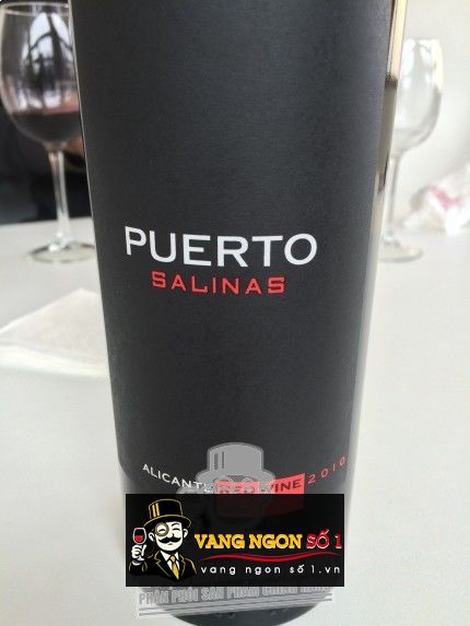 Kết quả hình ảnh cho puerto salinas mgwines group