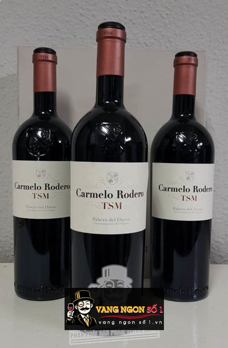 Kết quả hình ảnh cho carmelo rodero tsm