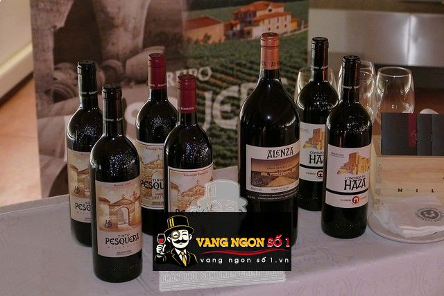 Kết quả hình ảnh cho VANG TẤY BAN NHA CONDADO DE HAZA