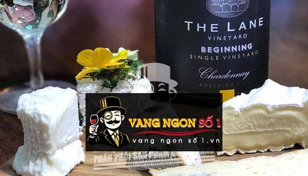 Rượu vang The Lane Vineyard Beginning Chardonnay