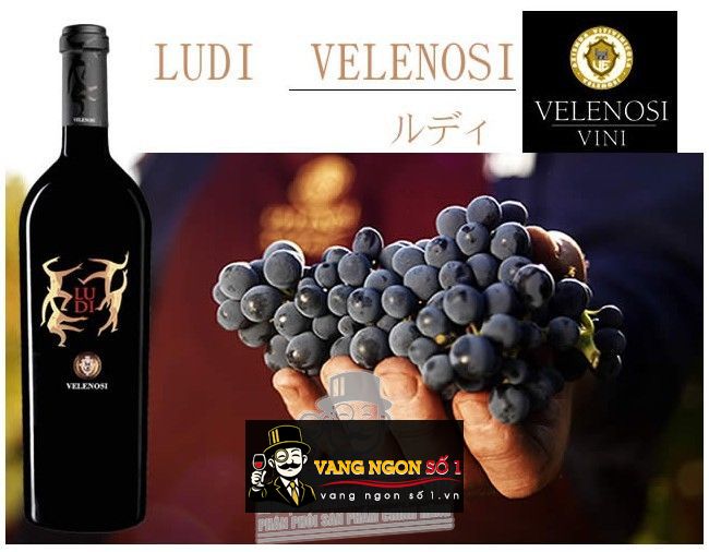 Káº¿t quáº£ hÃ¬nh áº£nh cho vang Ã½ ludi