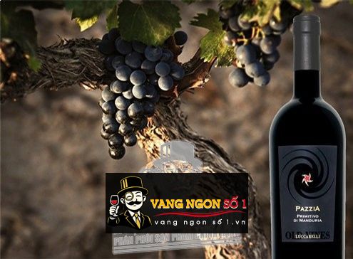 Kết quả hình ảnh cho vang ý pazzia primitivo di manduria