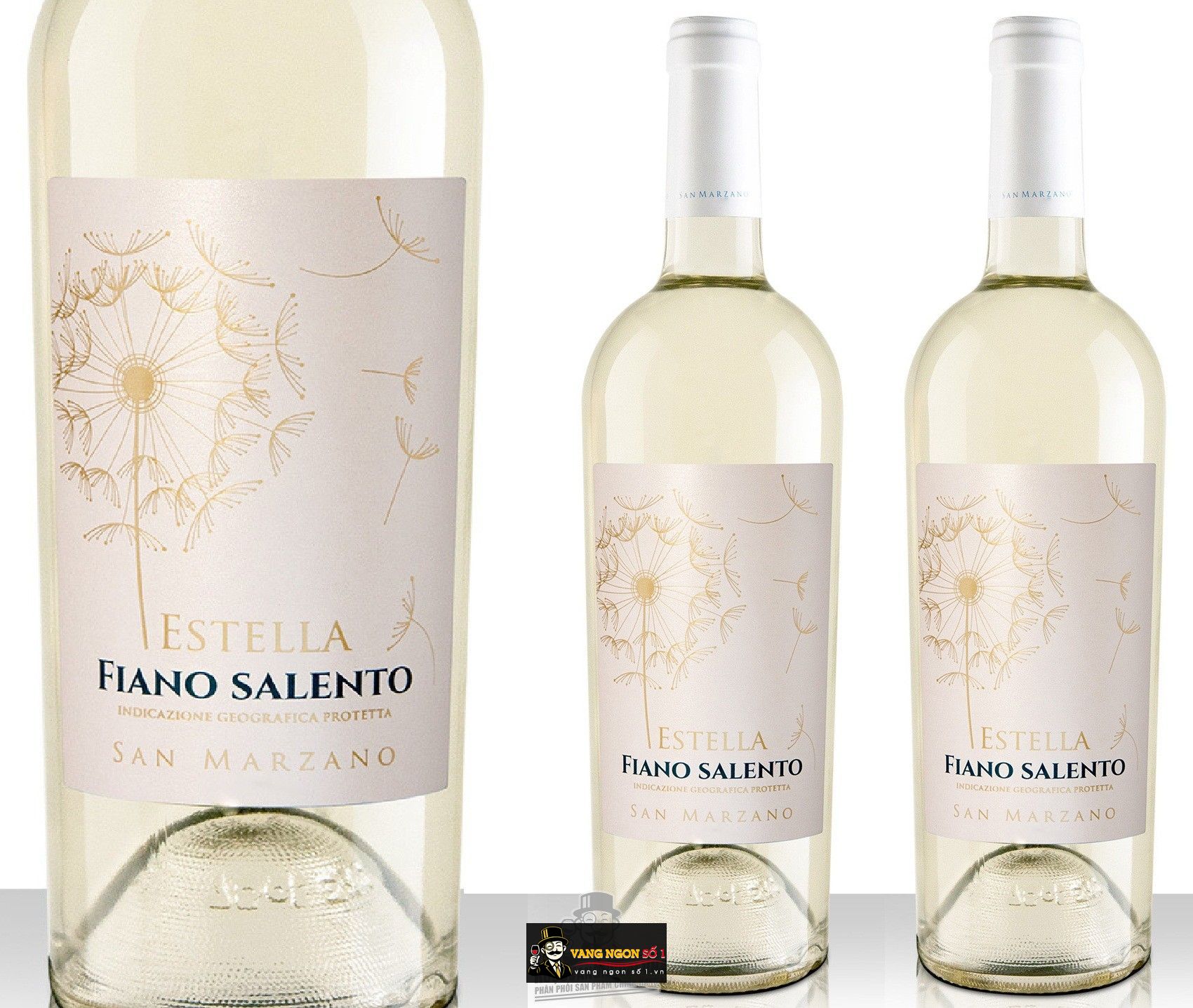 Káº¿t quáº£ hÃ¬nh áº£nh cho estella fiano