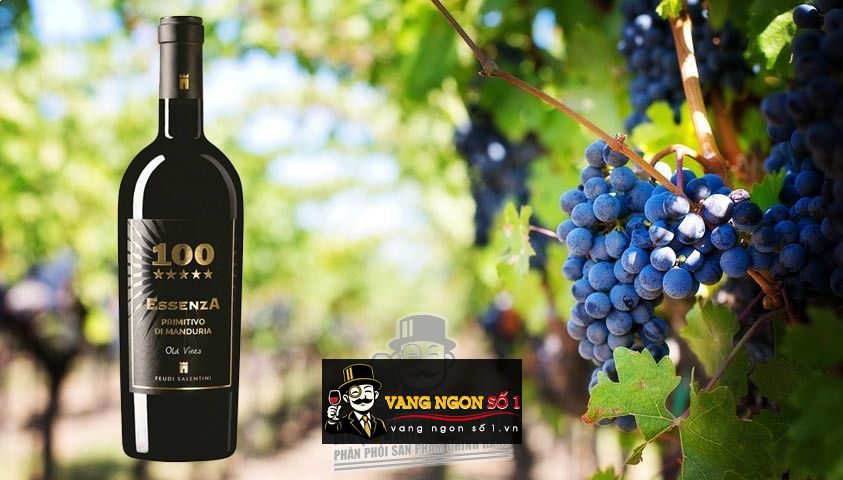 Káº¿t quáº£ hÃ¬nh áº£nh cho giÃ¡ vang Ã½ essenza 100 á» hÃ ná»i