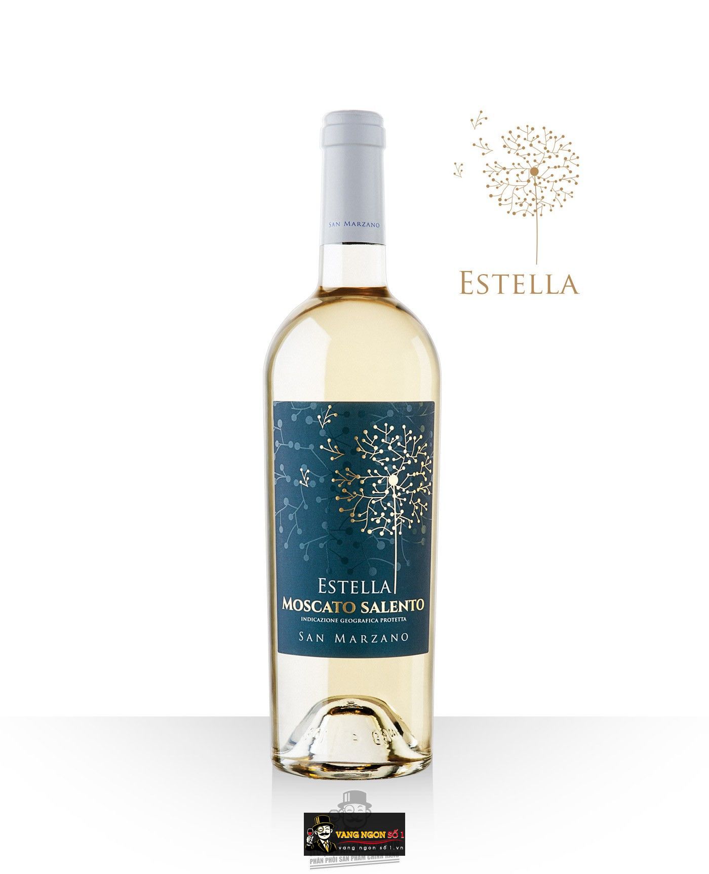 Kết quả hình ảnh cho estella moscato