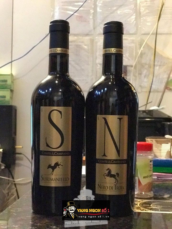 Kết quả hình ảnh cho n nero di troia conte campiano