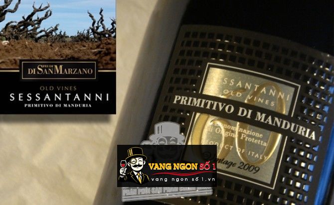 Kết quả hình ảnh cho 60 primitivo di manduria