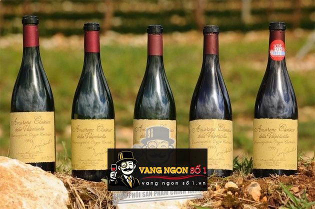 Kết quả hình ảnh cho zenato amarone della valpolicella riserve