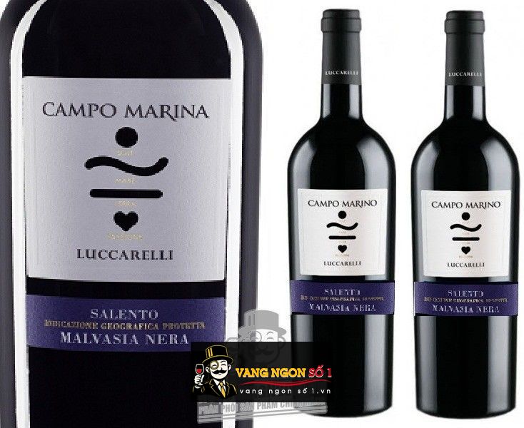 Kết quả hình ảnh cho vang ý campo marina malvasia nera