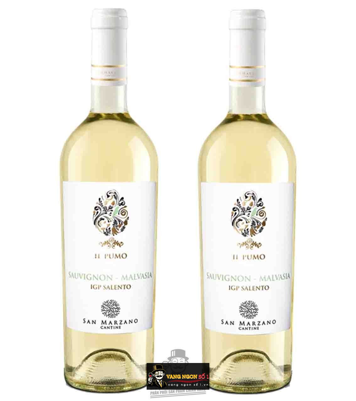 Kết quả hình ảnh cho il pumo malvasia