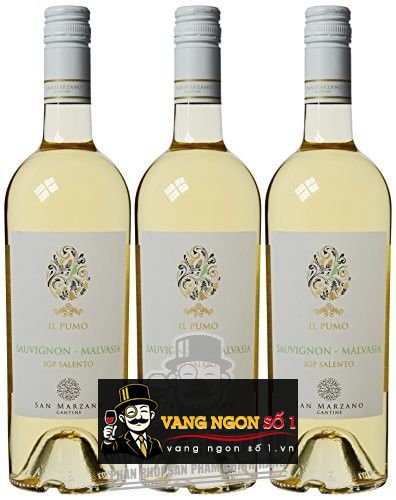 Kết quả hình ảnh cho il pumo malvasia