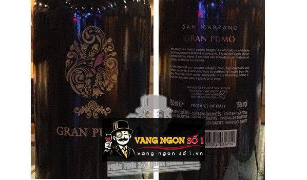 Rượu vang Ý Gran Pumo