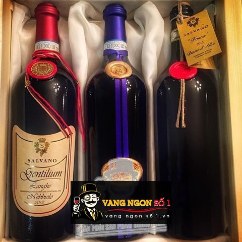 Vang Ý Salvano Gentilum Nebbiolo