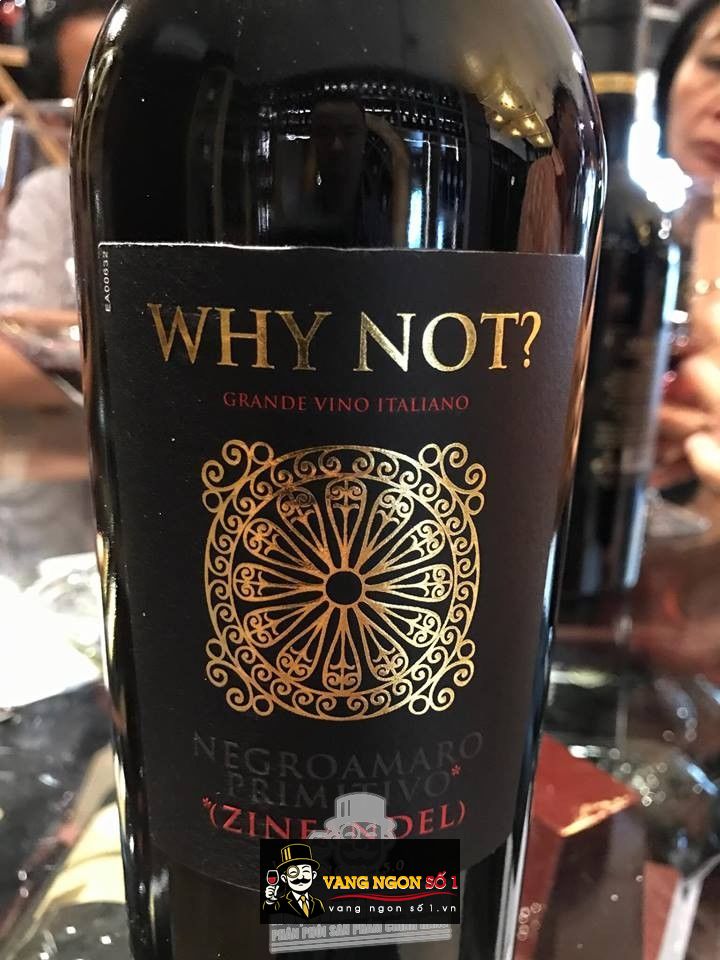 Kết quả hình ảnh cho vang ý why not negroamaro primitivo
