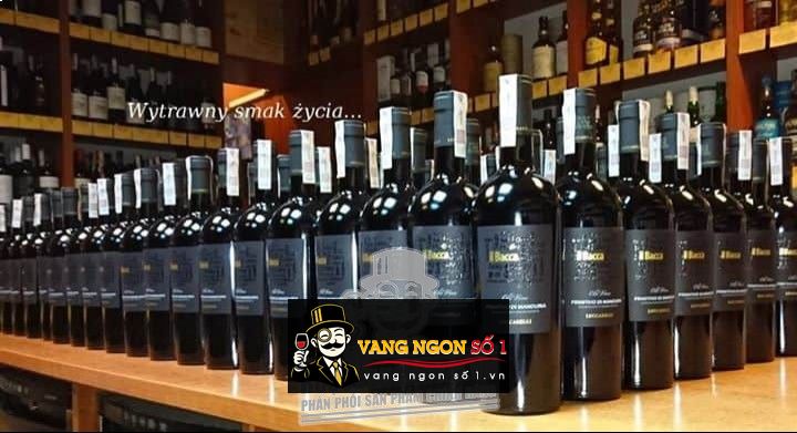 Kết quả hình ảnh cho vang ý il bacca