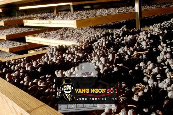 Hình ảnh có liên quan