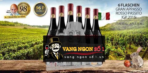 NHÀ PHÂN PHỐI VANG Ý GRAN APPASSO GIÁ CỰC RẺ