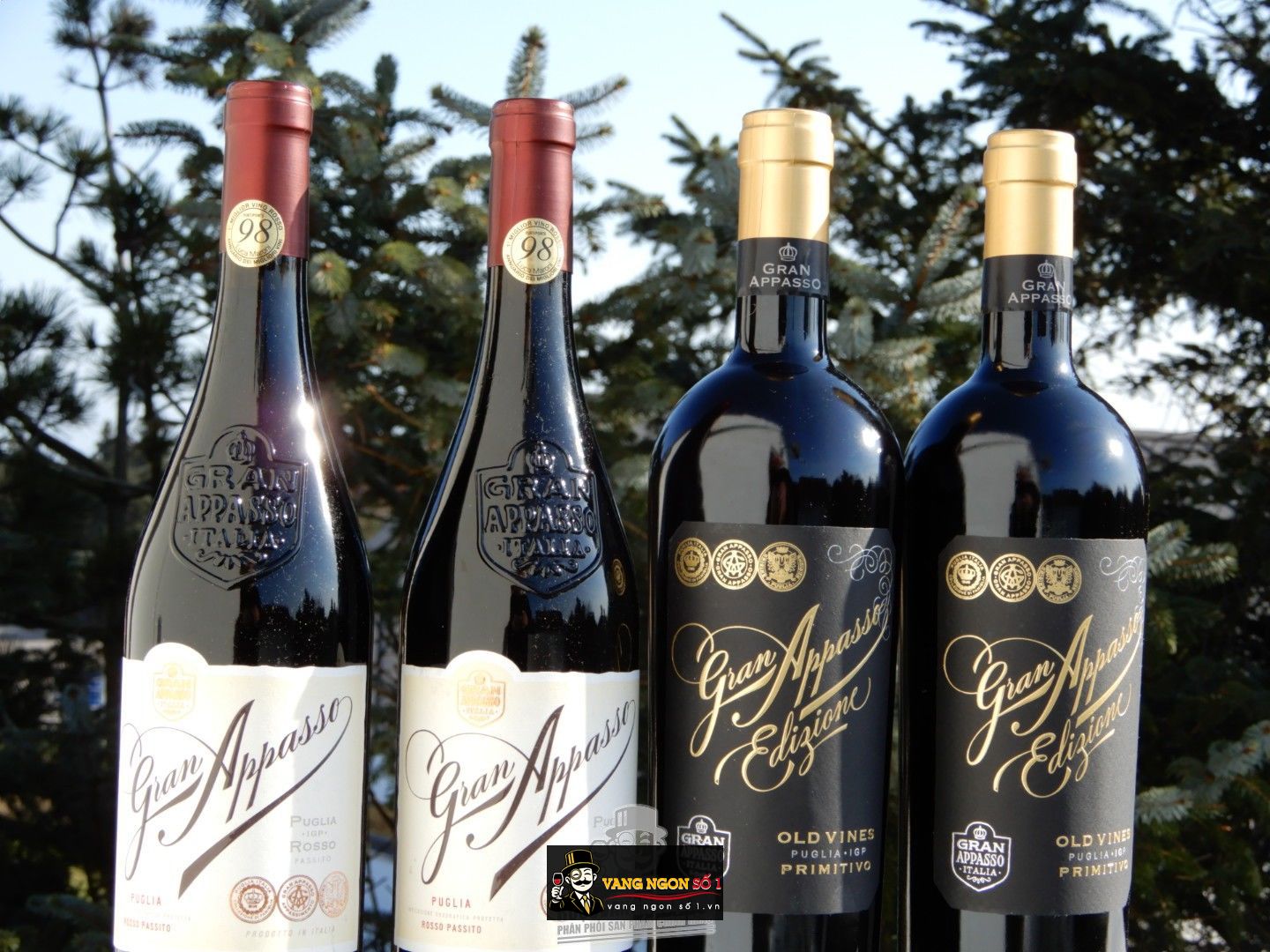 Kết quả hình ảnh cho gran appasso edizione primitivo