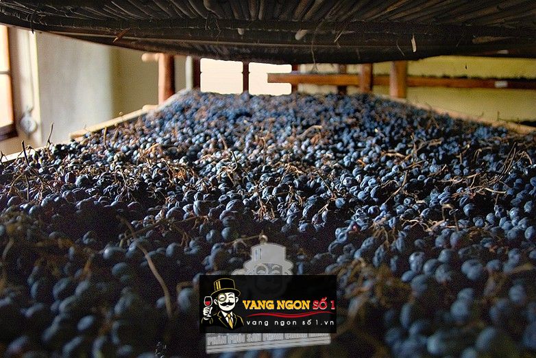 Kết quả hình ảnh cho appassimento carlo scala