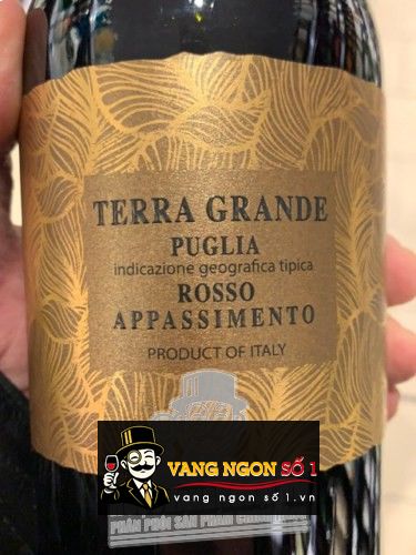 Kết quả hình ảnh cho TERRA GRANDE PUGLIA ROSSO APPASSIMENTO
