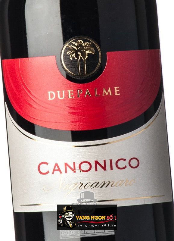 Káº¿t quáº£ hÃ¬nh áº£nh cho due palme canonico 2017