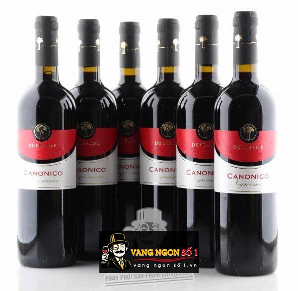 Káº¿t quáº£ hÃ¬nh áº£nh cho due palme canonico 2017