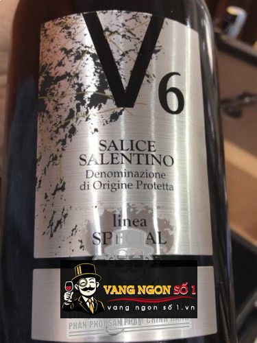 Kết quả hình ảnh cho v6 salice salentino varvaglione