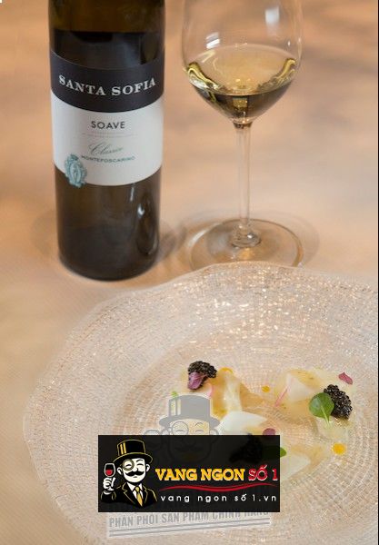 Kết quả hình ảnh cho santa sofia soave classico montafoscarino
