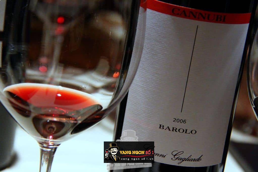 Kết quả hình ảnh cho GIANNI GAGLIARDO BAROLO RISERVA CANNUBI