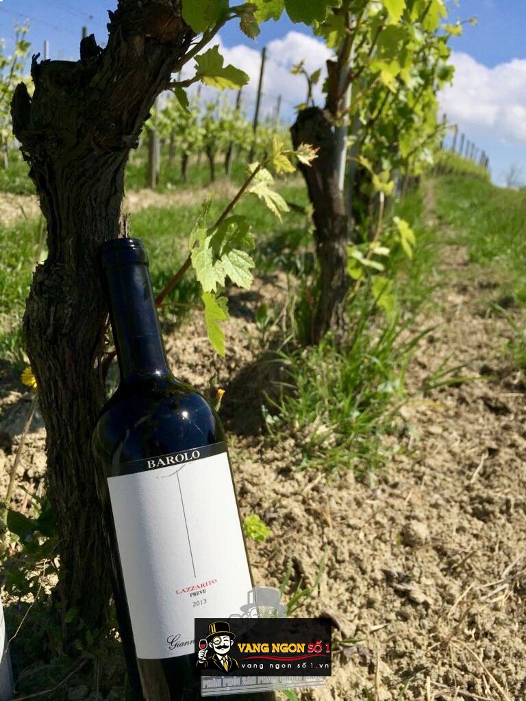 Hình ảnh có liên quan