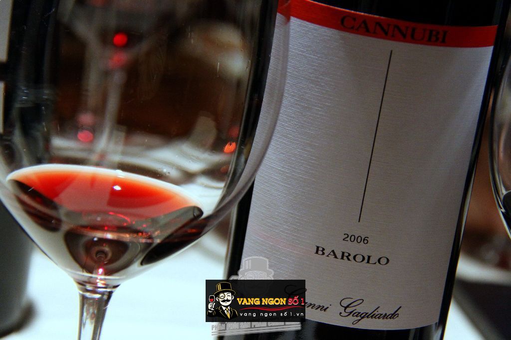 Kết quả hình ảnh cho gianni gagliardo BAROLO 2010