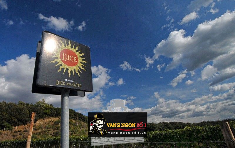 Kết quả hình ảnh cho vang ý luce della vite 2016