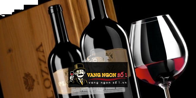 Rượu vang Ý Plozza cao cấp