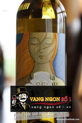 Vang Ý Donnafugata Anthilia Sicilia