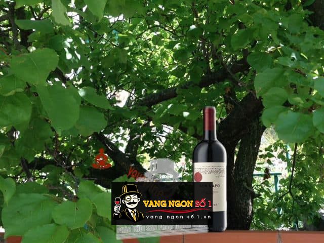 Vang Ý Ser Lapo Mazzei Chianti Classico Riserva