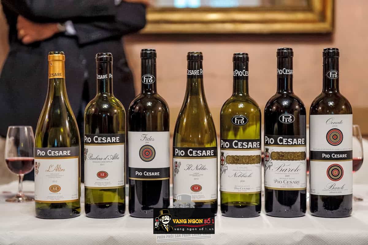 Vang Ý Pio Cesare Barbera d