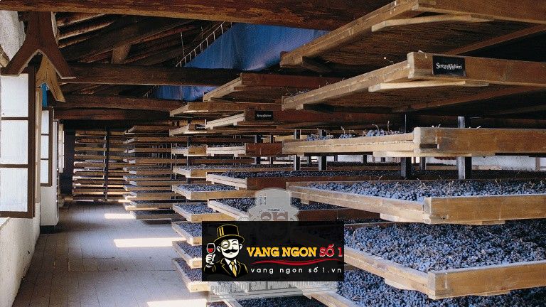 Vang Ý Amarone Villa