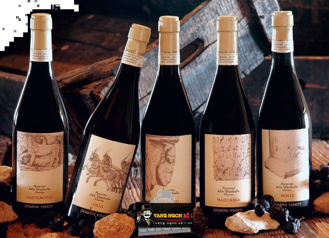 Vang Ý Amarone San Rocco