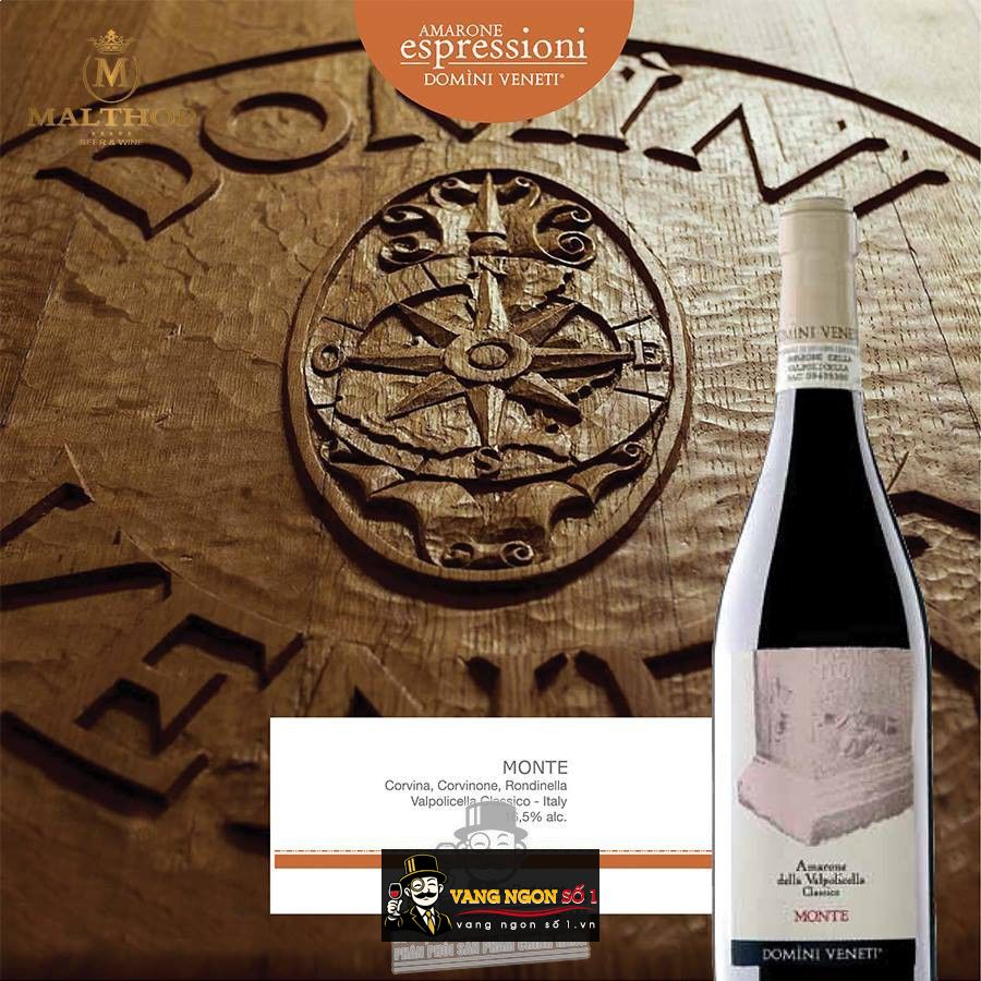 Vang Ý Amarone Monte