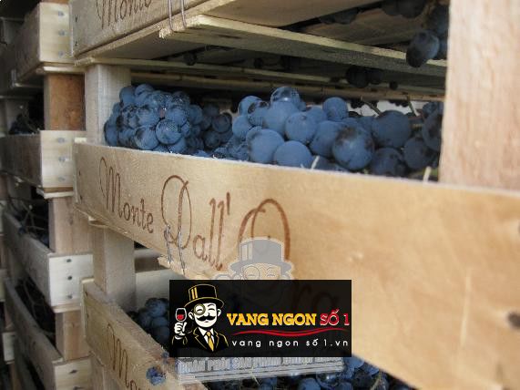 Vang Ý Amarone Castelrotto cao cấp