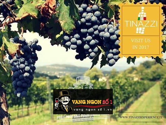 Vang Ý Ripa Magna Corvina IGP Verona